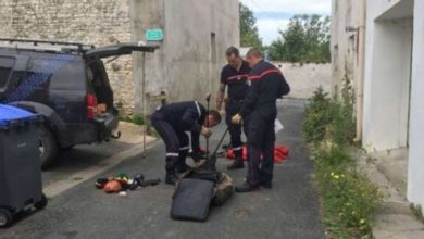 صورة سائح فرنسي يكشف حشرة سامة في حقائبه بعد عودته من المغرب