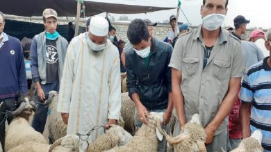 صورة بمناسبة “العيد”.. تحذيرات مهمة من ازدحام الأسواق