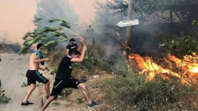 صورة مشاهير المغرب يتفاعلون مع حرائق الجزائر