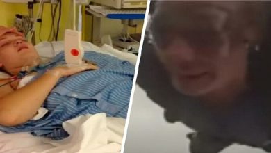 صورة سقطت من ارتفاع 4 كيلومترات وبقيت على قيد الحياة