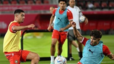 صورة لاعب بالمنتخب الوطني يثير السخرية بسبب حياته الشخصية -صورة