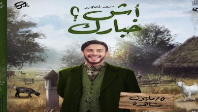 صورة سعد لمجرد: “النجاح السريع يبني الغرور”