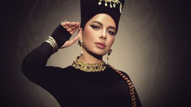 صورة أصالة نصري تُصدر ألبومها الجديد وزوجها أول المهنئين -صورة