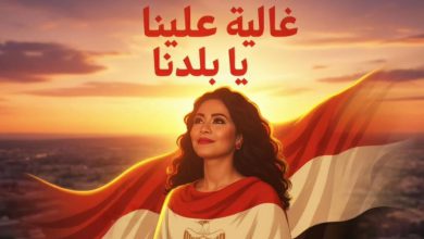 صورة بعد الصلح مع محاميها.. شيرين عبد الوهاب تستعد لطرح عمل وطني ضخم