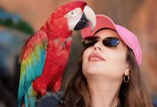 صورة فاطمة الزهراء لحرش تتخلى عن “الفيلر” بسبب التنمر -فيديو