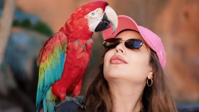 صورة فاطمة الزهراء لحرش تتخلى عن “الفيلر” بسبب التنمر -فيديو