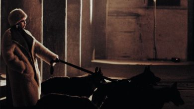 صورة منال بنشليخة تكشف عن كوفر “Carta Rouge” والجمهور يترقب الإصدار بحماس