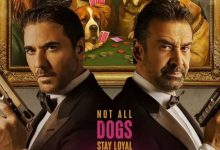 صورة العرض ما قبل الأول لفيلم “7 Dogs”.. الدار البيضاء تتأهب لحدث سينمائي عالمي