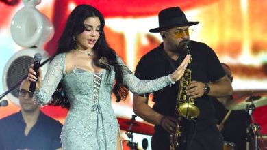 صورة هيفاء وهبي تستعد لجولة فنية تمتد حتى أبريل 2027 -فيديو