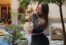 صورة أول تعليق من رباب الباني بعد نجاة كلبتها من التسميم