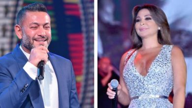 صورة زياد برجي يعلن انتصاره القضائي الرابع على إليسا